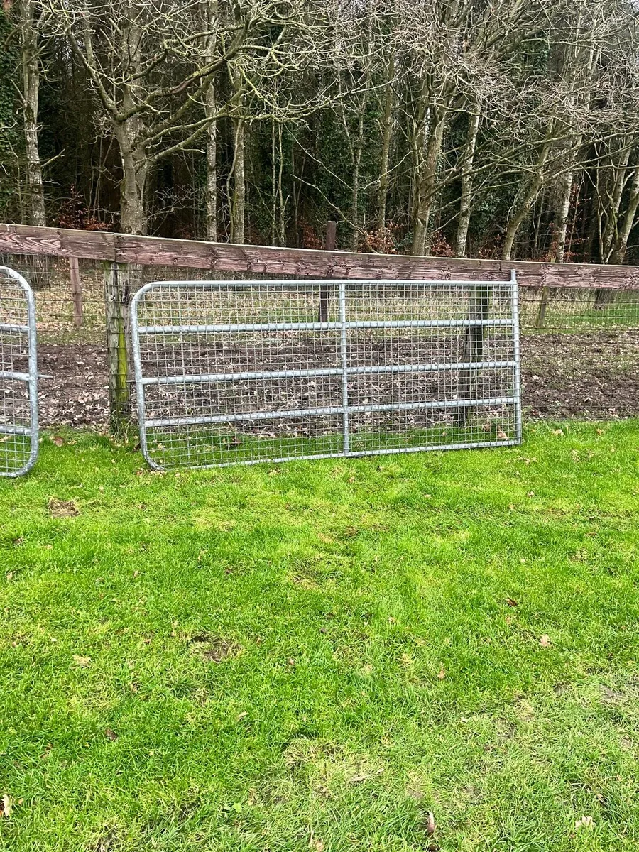 Mesh gates - Image 2