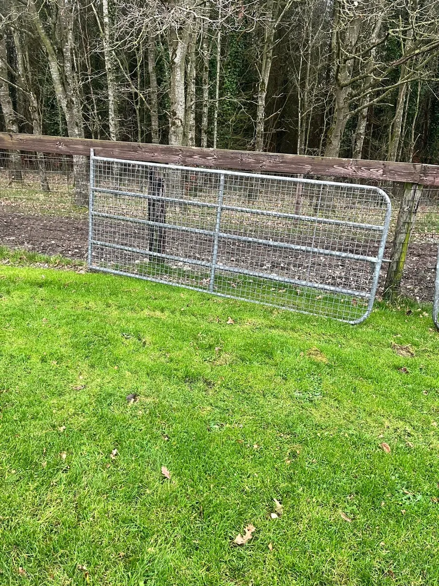 Mesh gates - Image 4