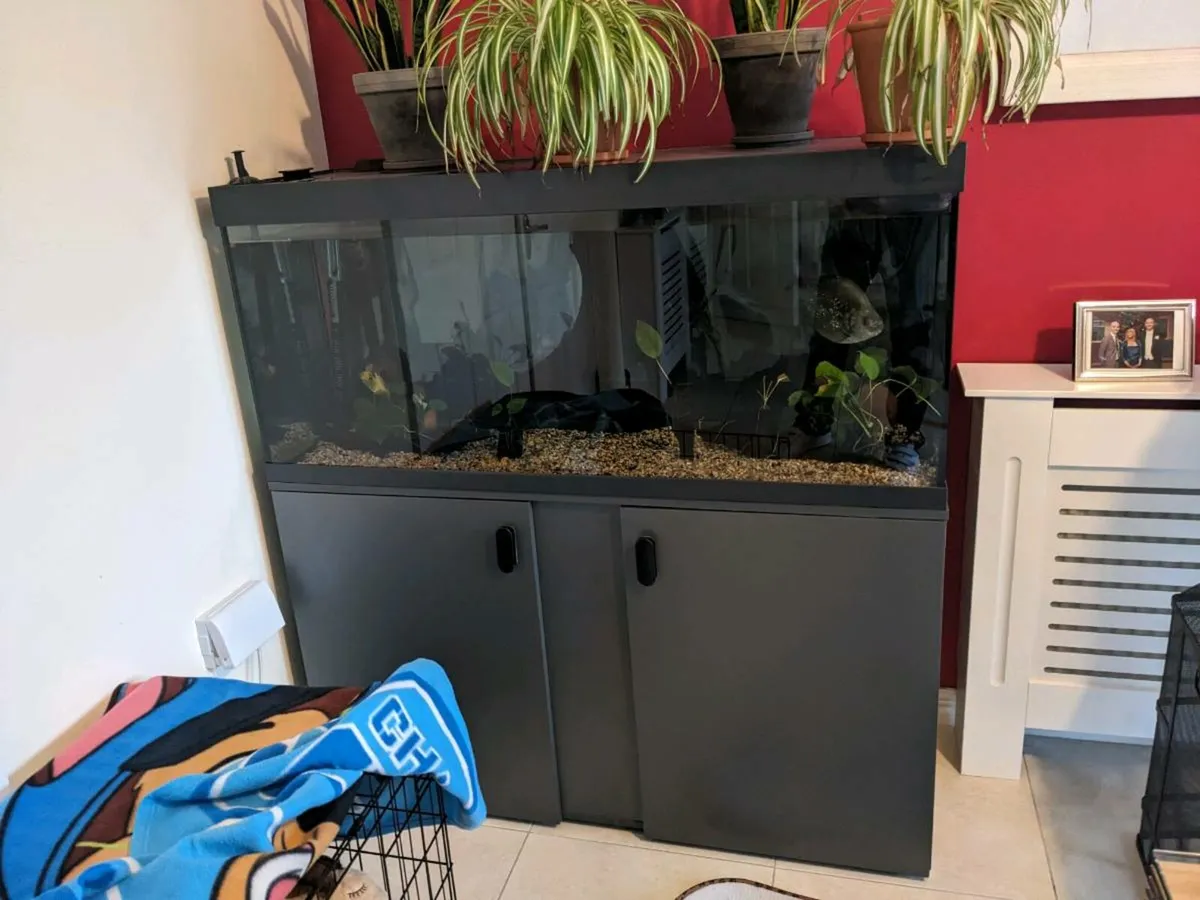 Eheim Vivaline LED 240 Black - Image 1