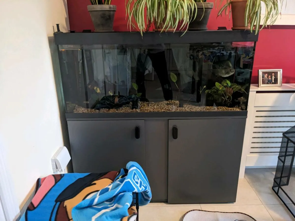 Eheim Vivaline LED 240 Black - Image 2