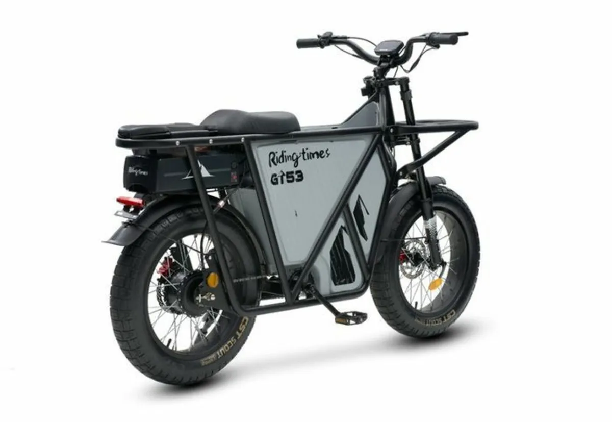 RIDINGTIMES GT53 Electric CARGO Bike - Image 2