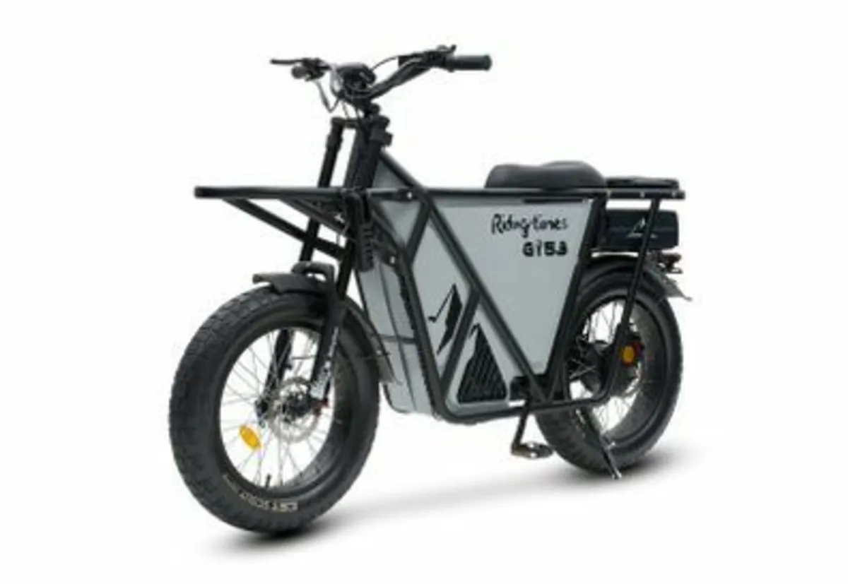 RIDINGTIMES GT53 Electric CARGO Bike - Image 1