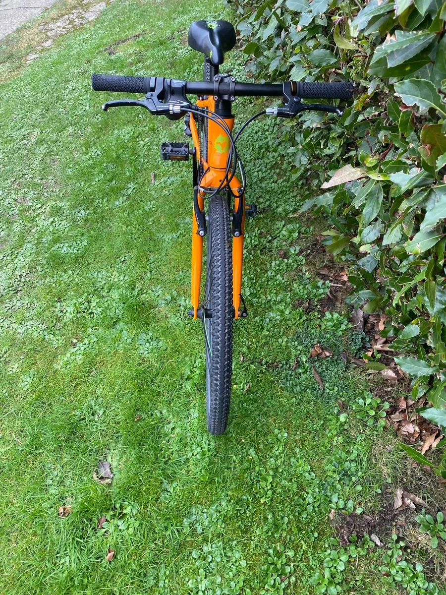 Frog 62 Child’s Bicycle - Image 4