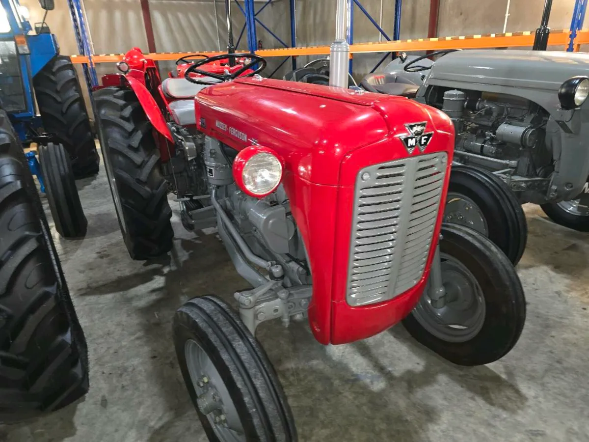 Massey 35 vineyard orchard vintage tractor - Image 2
