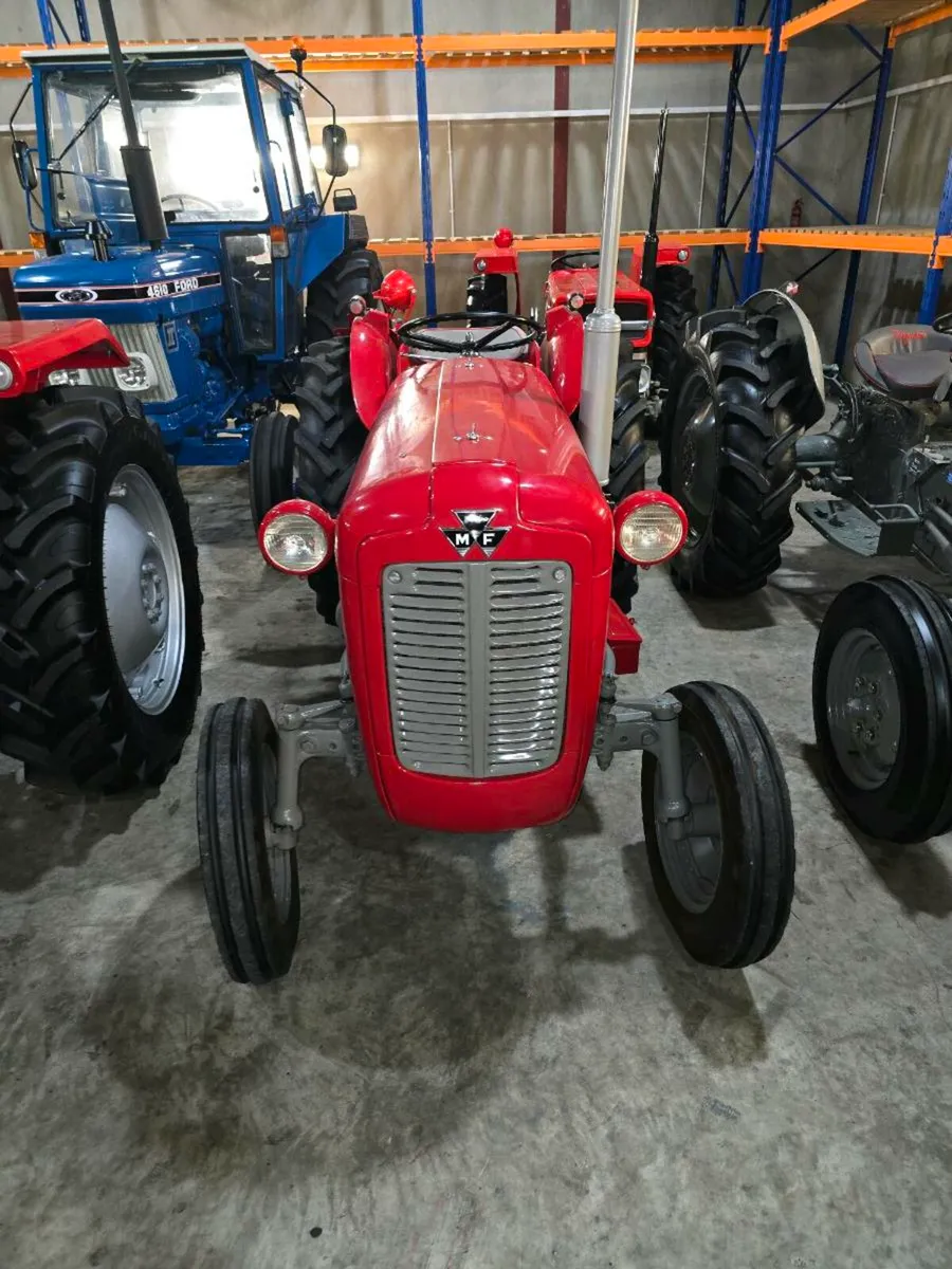 Massey 35 vineyard orchard vintage tractor - Image 3