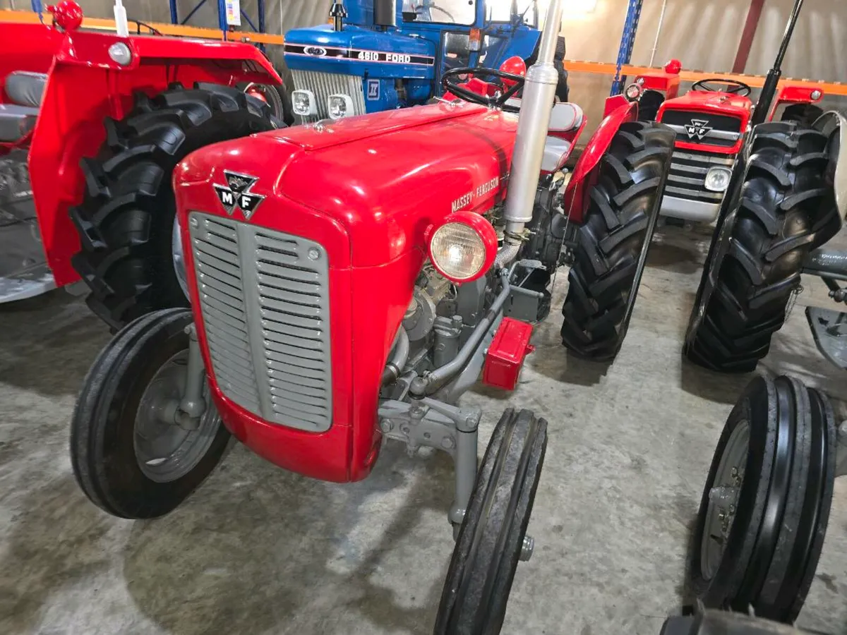 Massey 35 vineyard orchard vintage tractor - Image 4