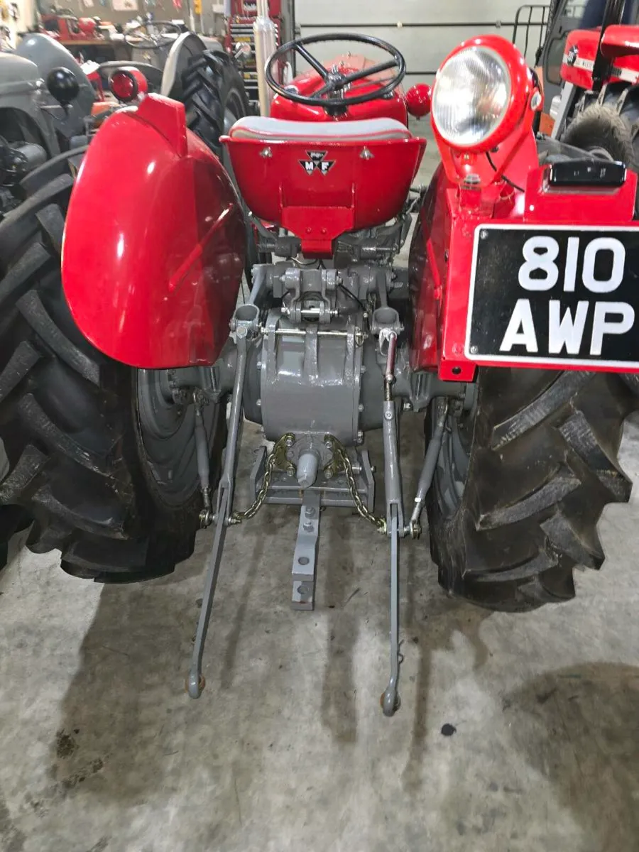 Massey 35 vineyard orchard vintage tractor - Image 1