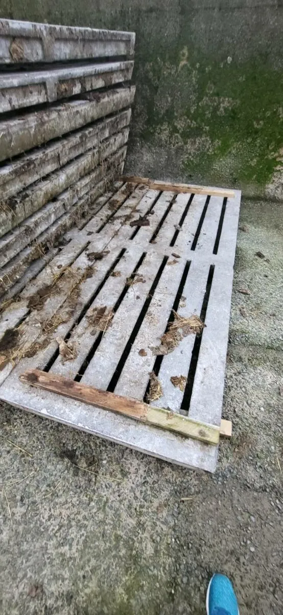 Cattle Slats - Image 2