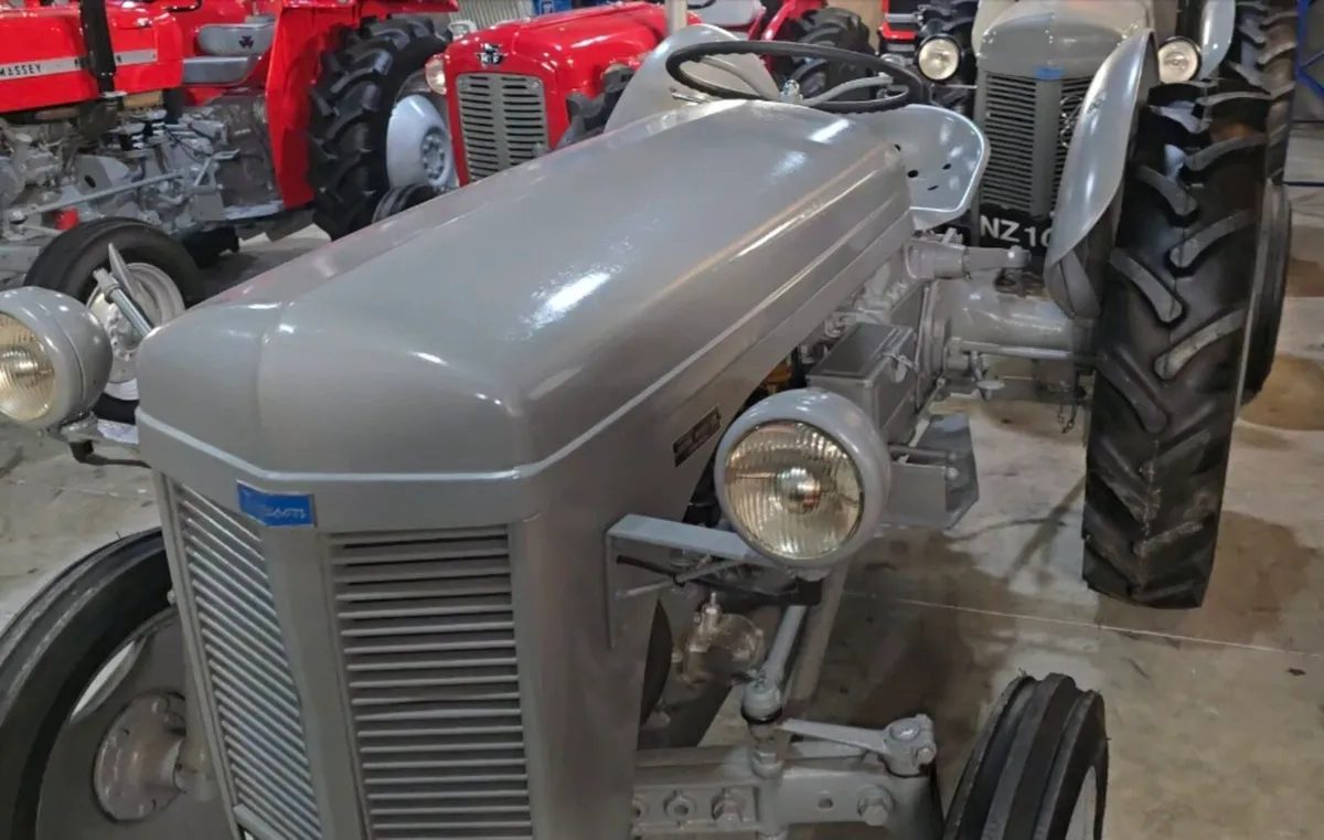 Petrol massey grey fergie massey vintage tractor - Image 2