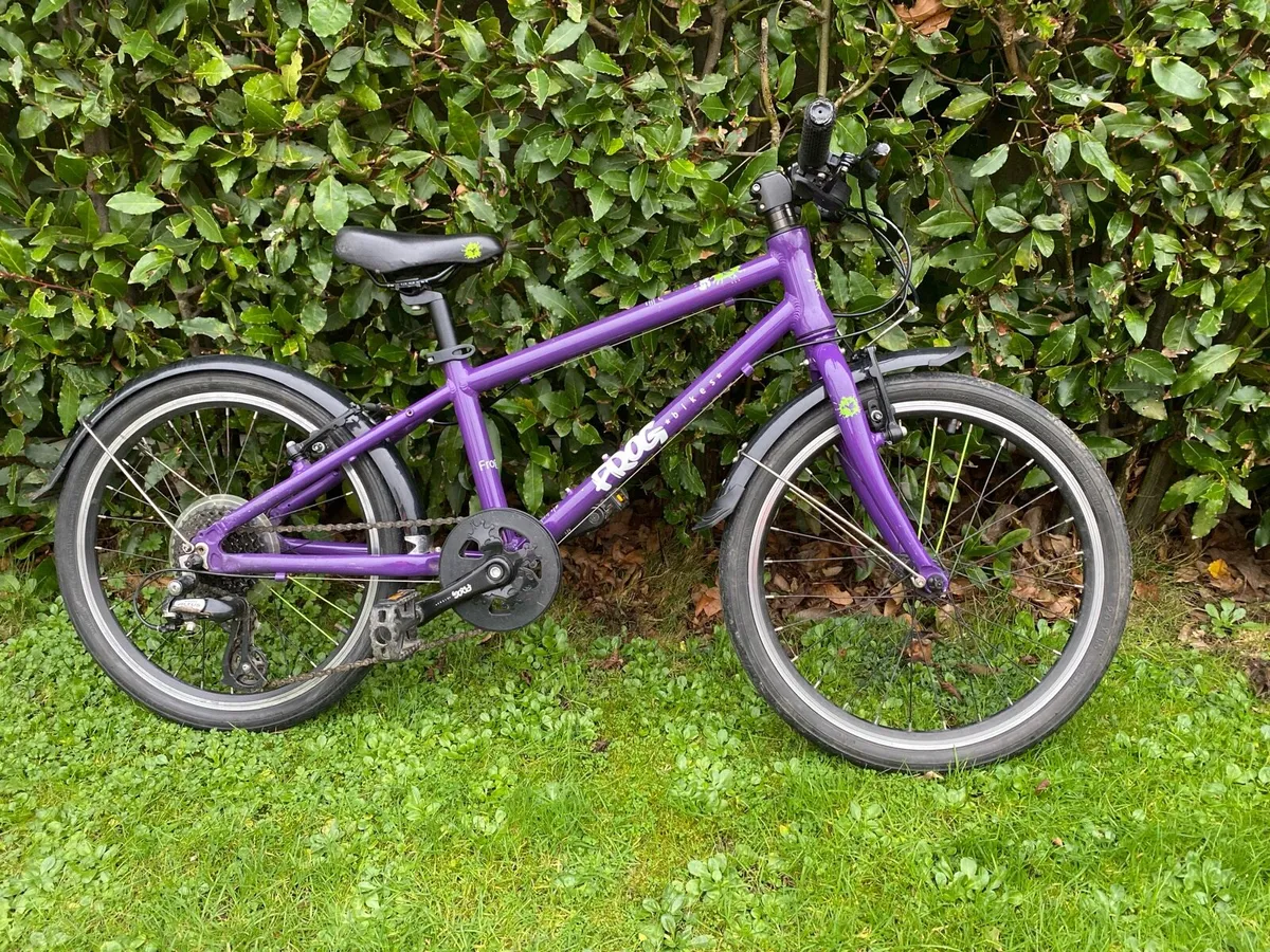 Frog 55 Child’s Bicycle - Image 1