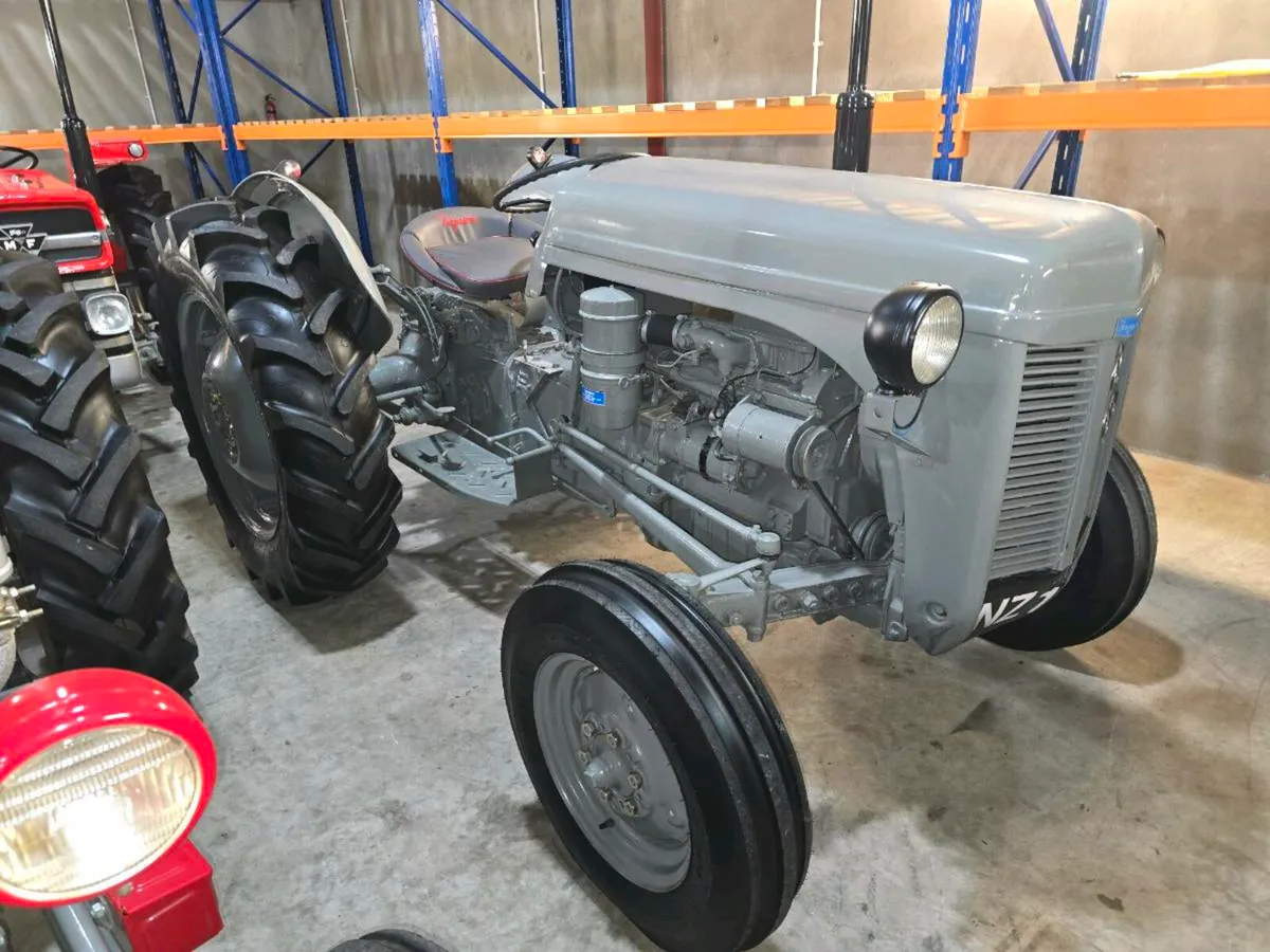 Massey grey fergie p3 vintage tractor mint order - Image 1