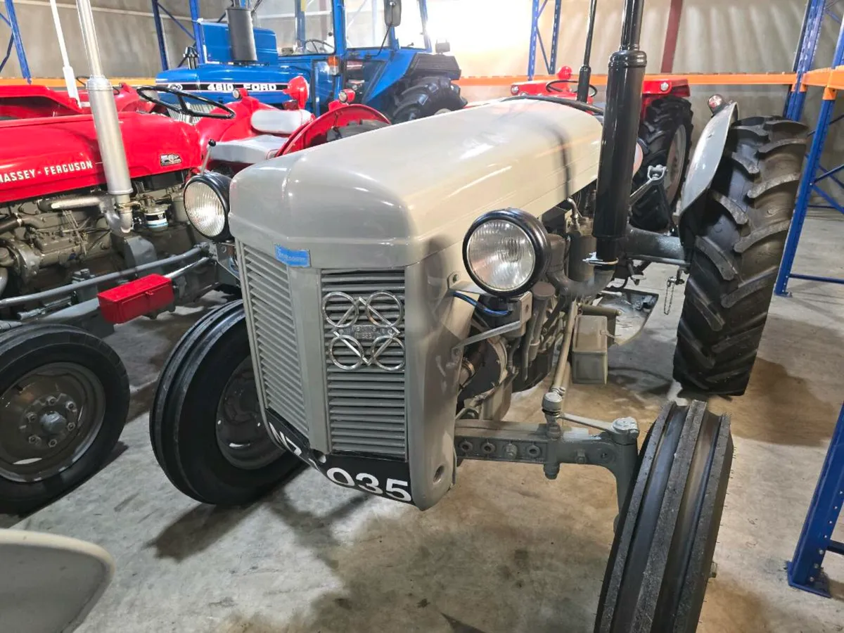 Massey grey fergie p3 vintage tractor mint order - Image 2