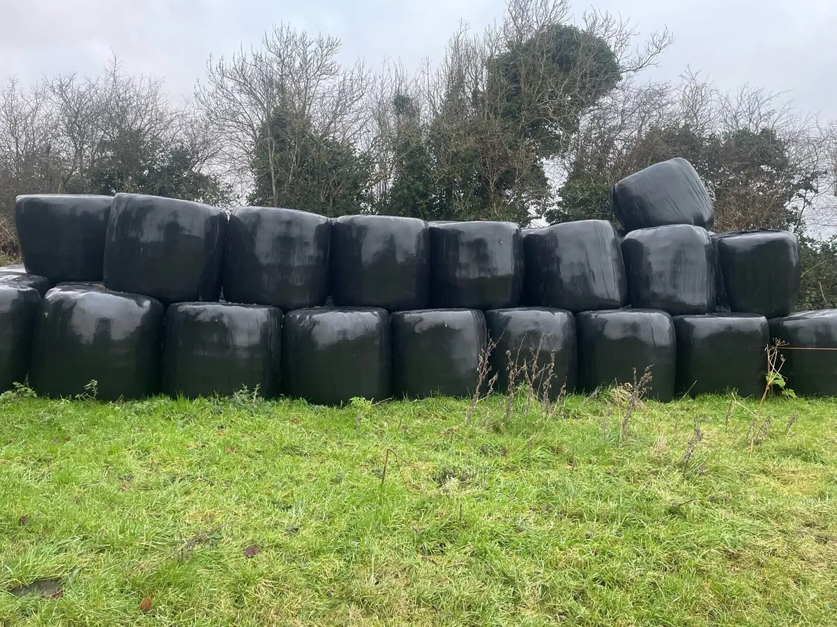 Silage