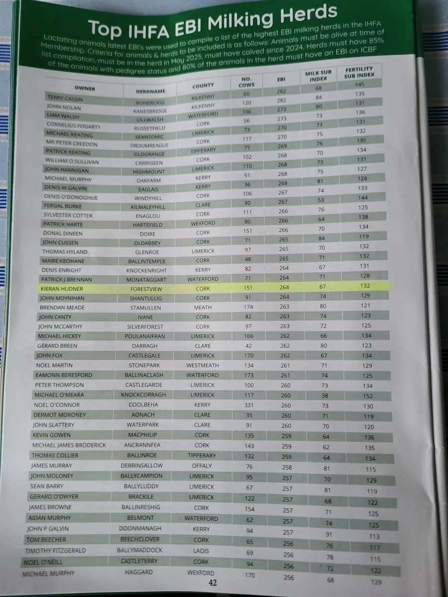 Incalf Dairy heifers - Image 3