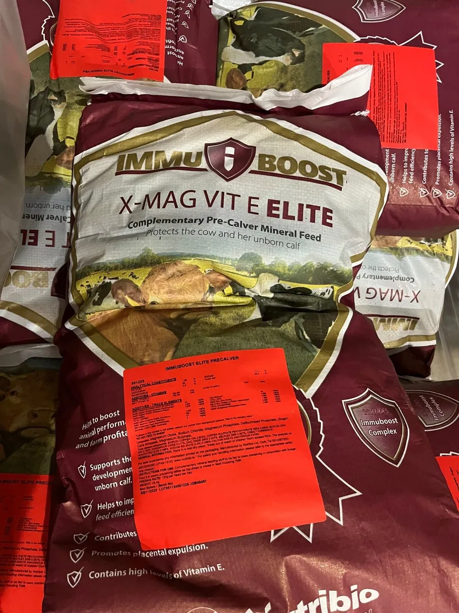 Precalver Elite Dry cow mineral - Image 1