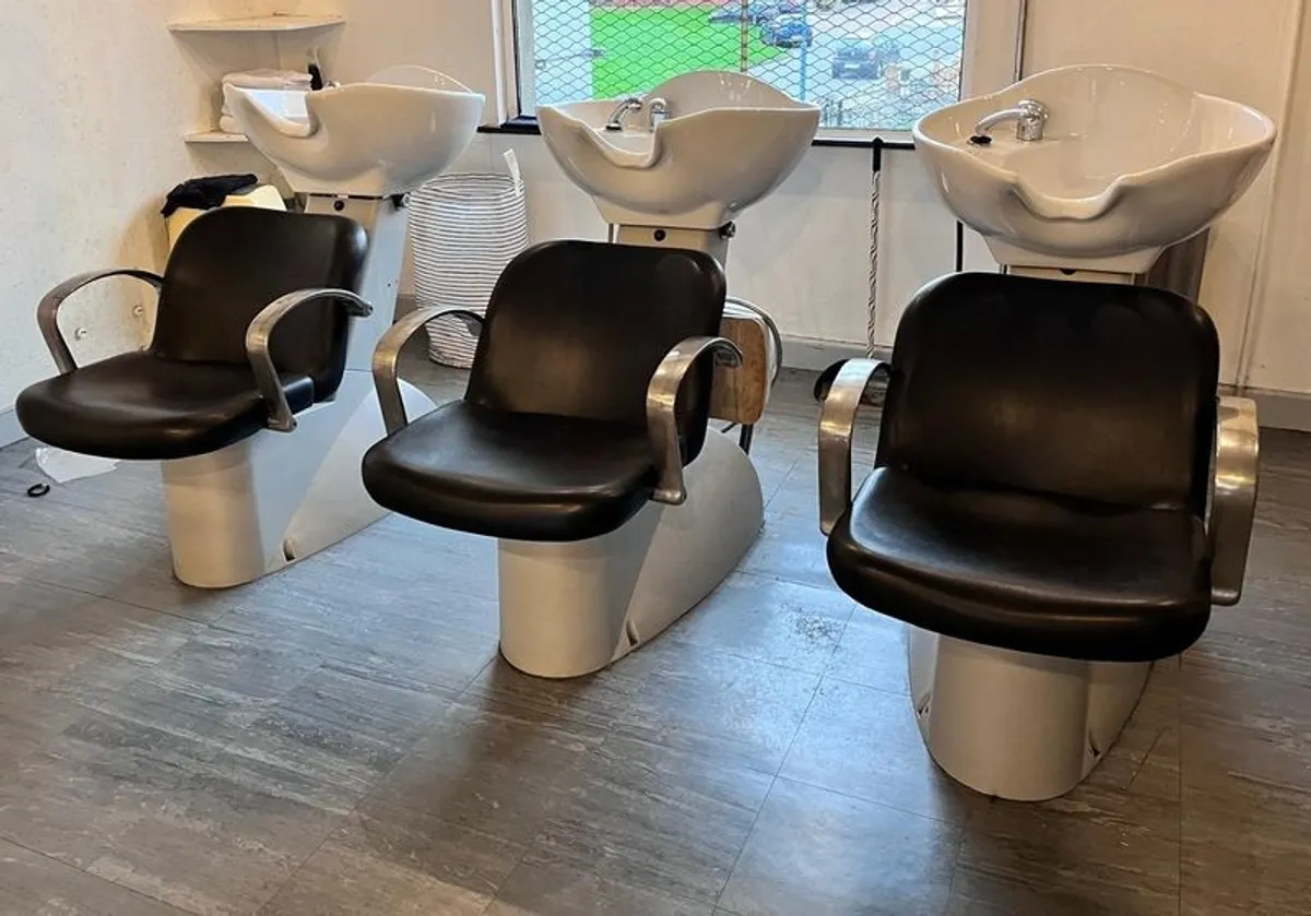 Professional Backwash Unit (Hair Salon / Barber Shop) - Image 1