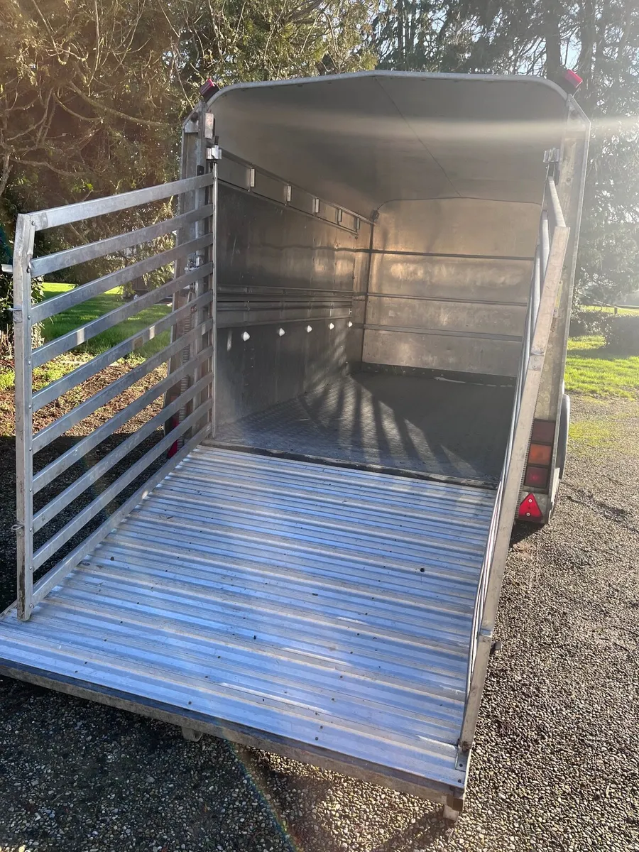 Ifor williams cattle box 12x6 - Image 2