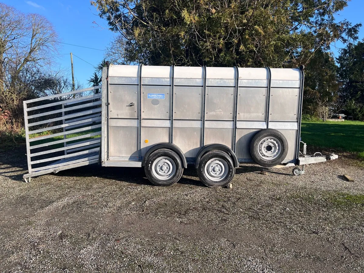 Ifor williams cattle box 12x6 - Image 1
