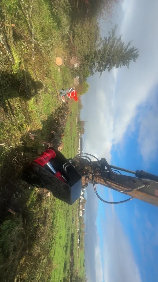 Digger/tractor hire ( groundworker/tree surgeon ) - Image 2