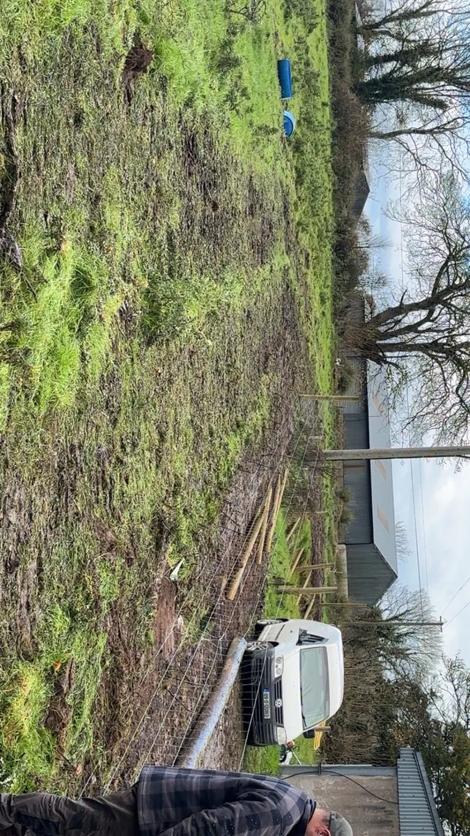 Digger/tractor hire ( groundworker/tree surgeon ) - Image 3