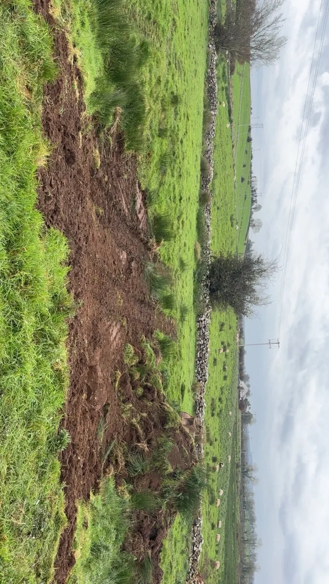 Digger/tractor hire ( groundworker/tree surgeon ) - Image 4