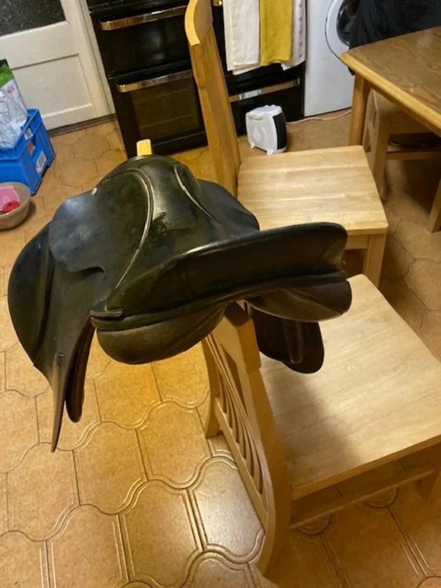 Berney Pony Saddle - Image 4