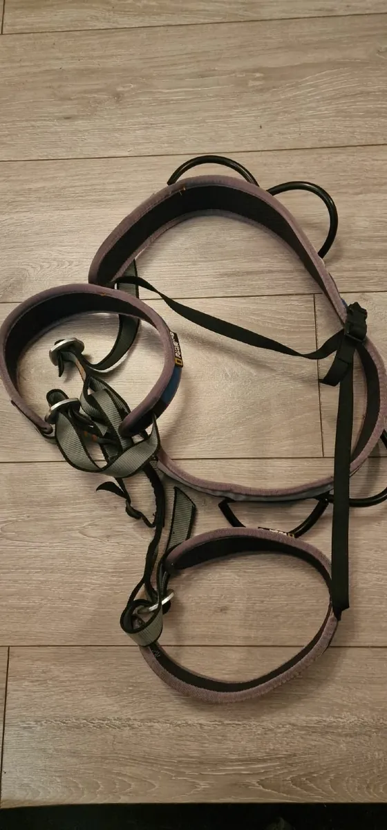 Climbing Shoes (Scarpa) and Harness (Singing Rock) - Image 3
