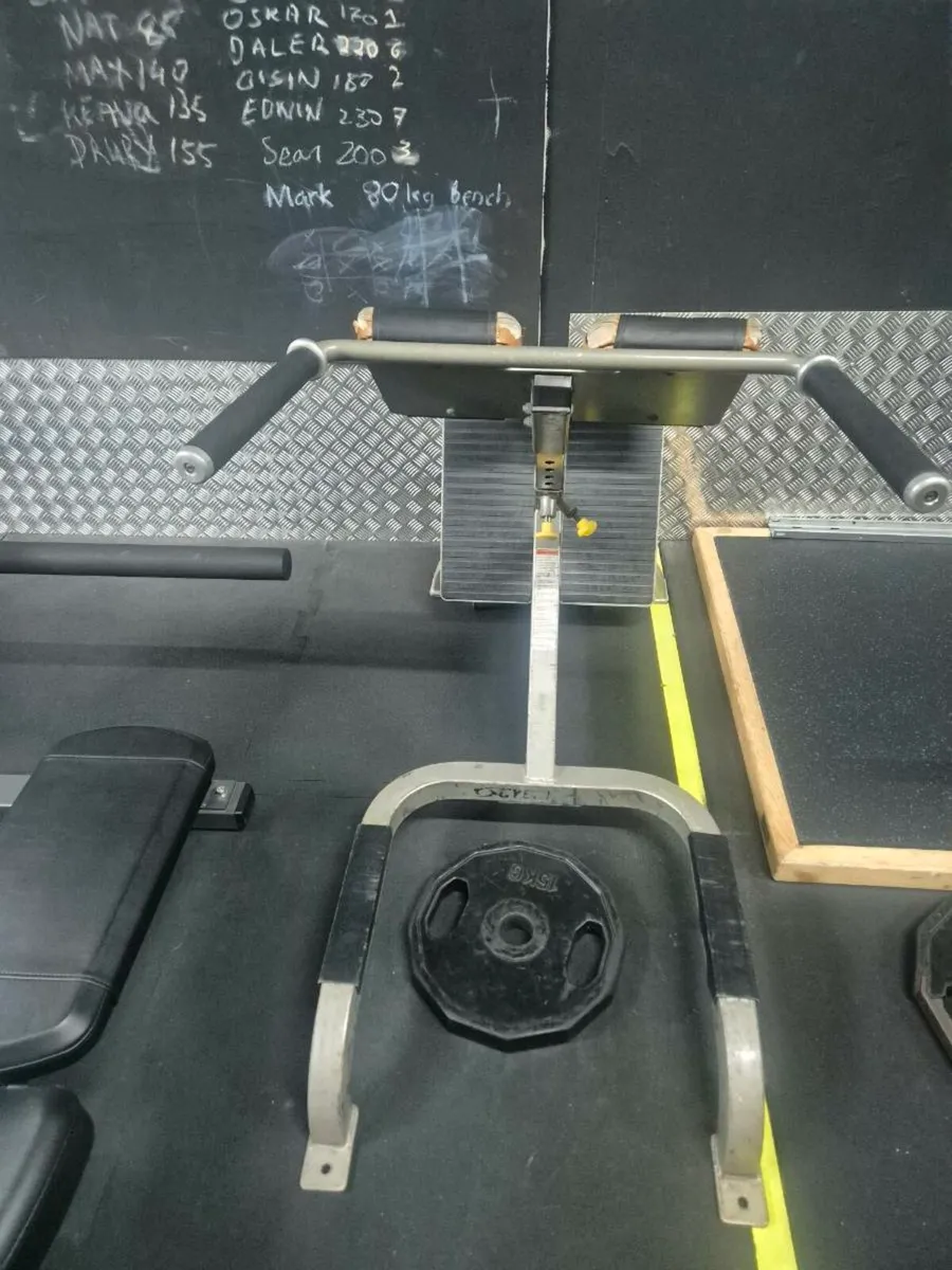 Cybex Hyperextansion - Image 2