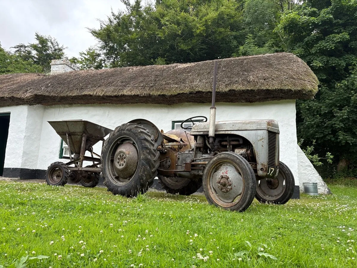 Ferguson Petrol - Image 4