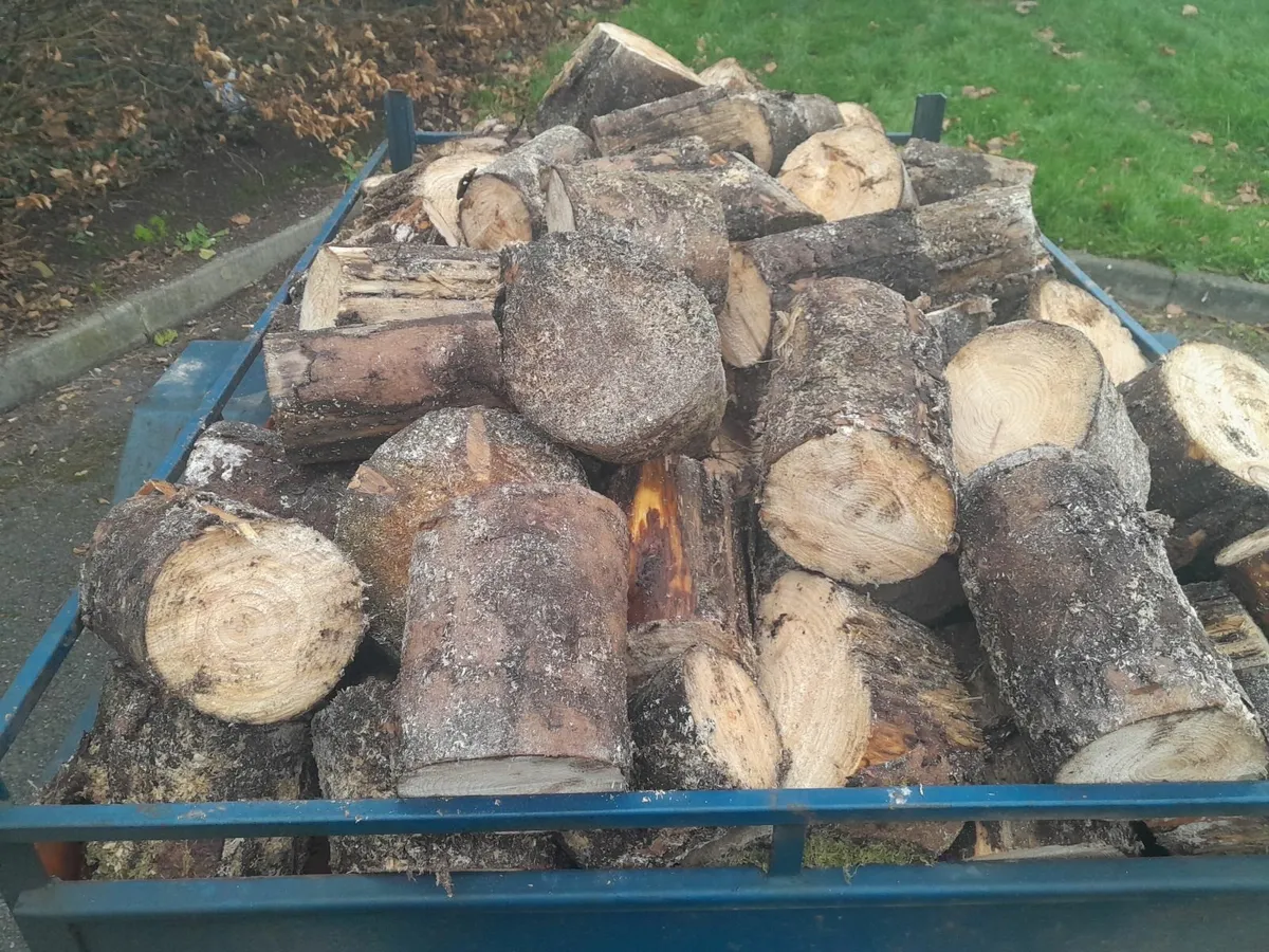 Firewood - Image 3