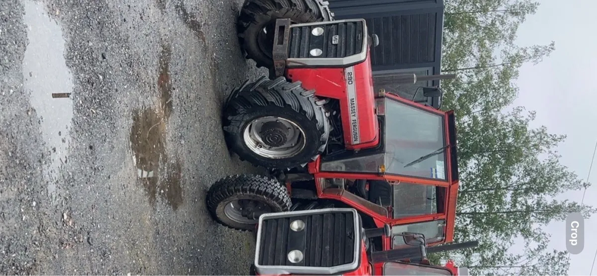 Massey 290 4wd - Image 2