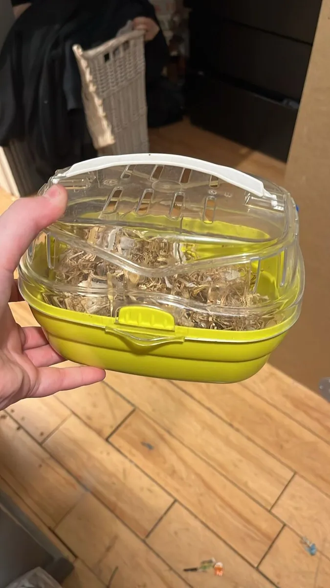 Hamster miniture - Image 3