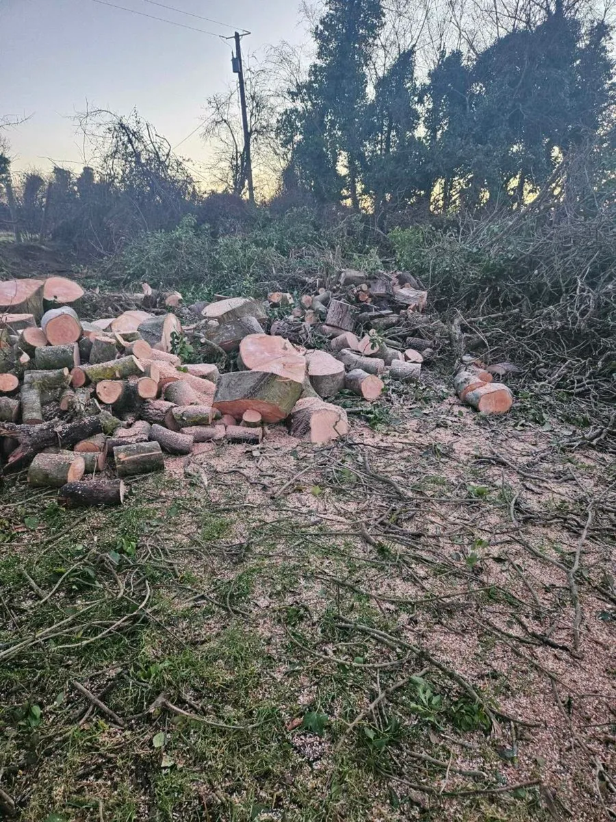 Log splitting service - Image 1