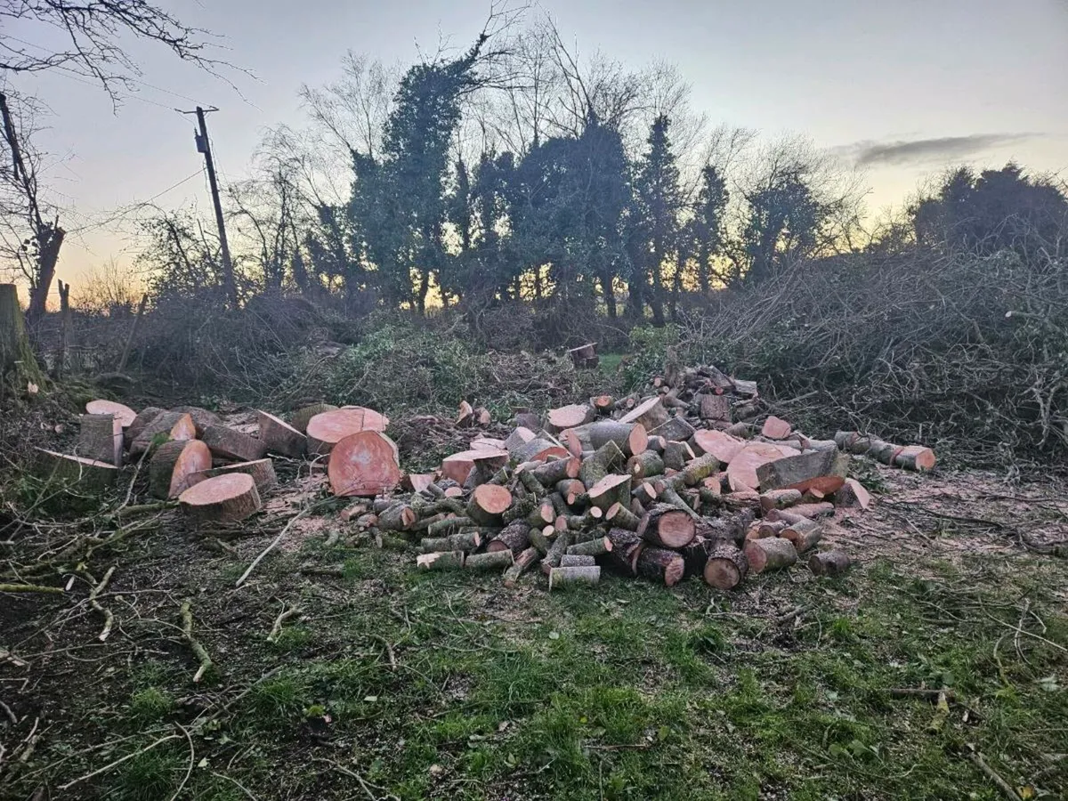 Log splitting service - Image 3