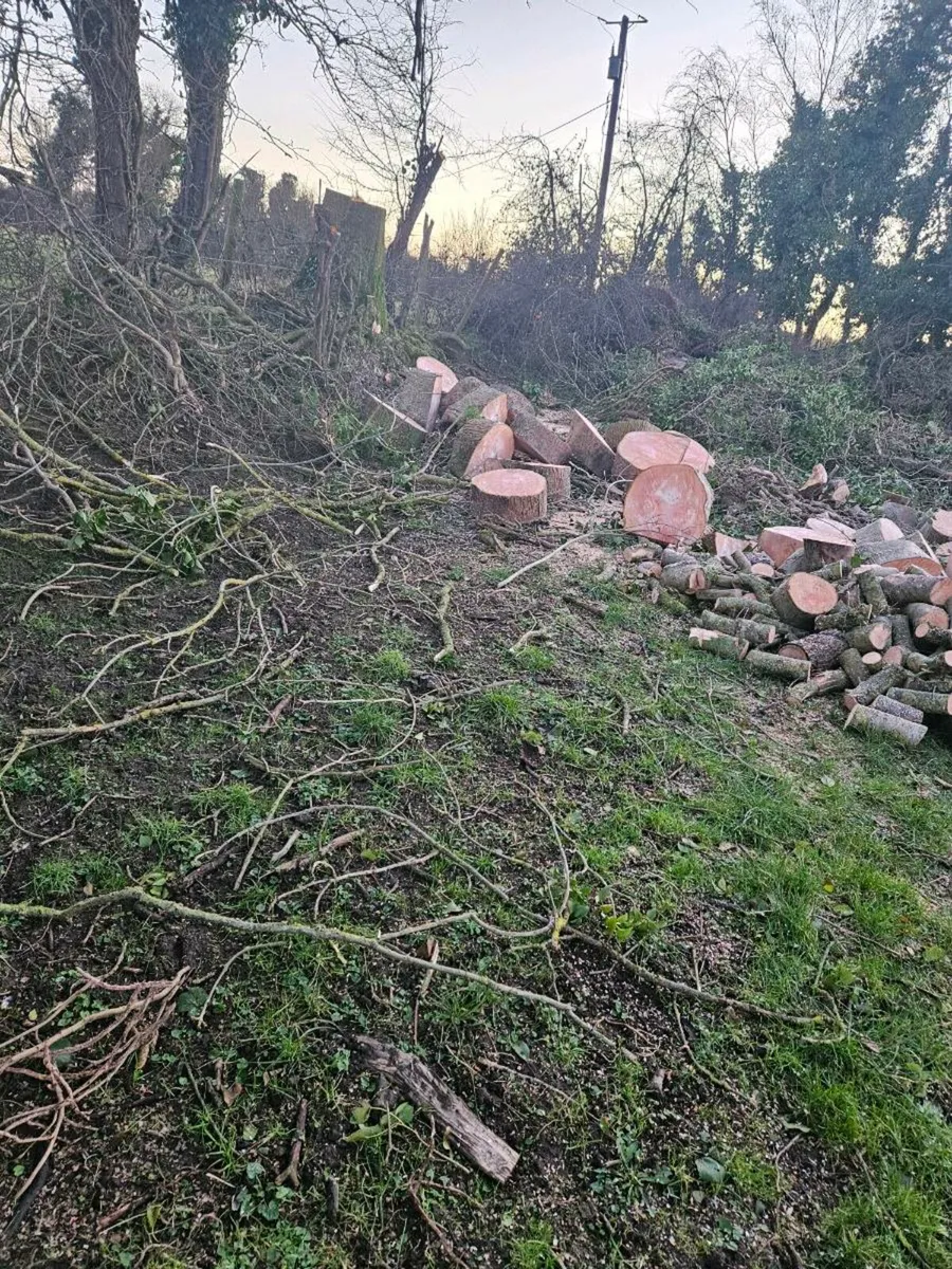 Log splitting service - Image 4