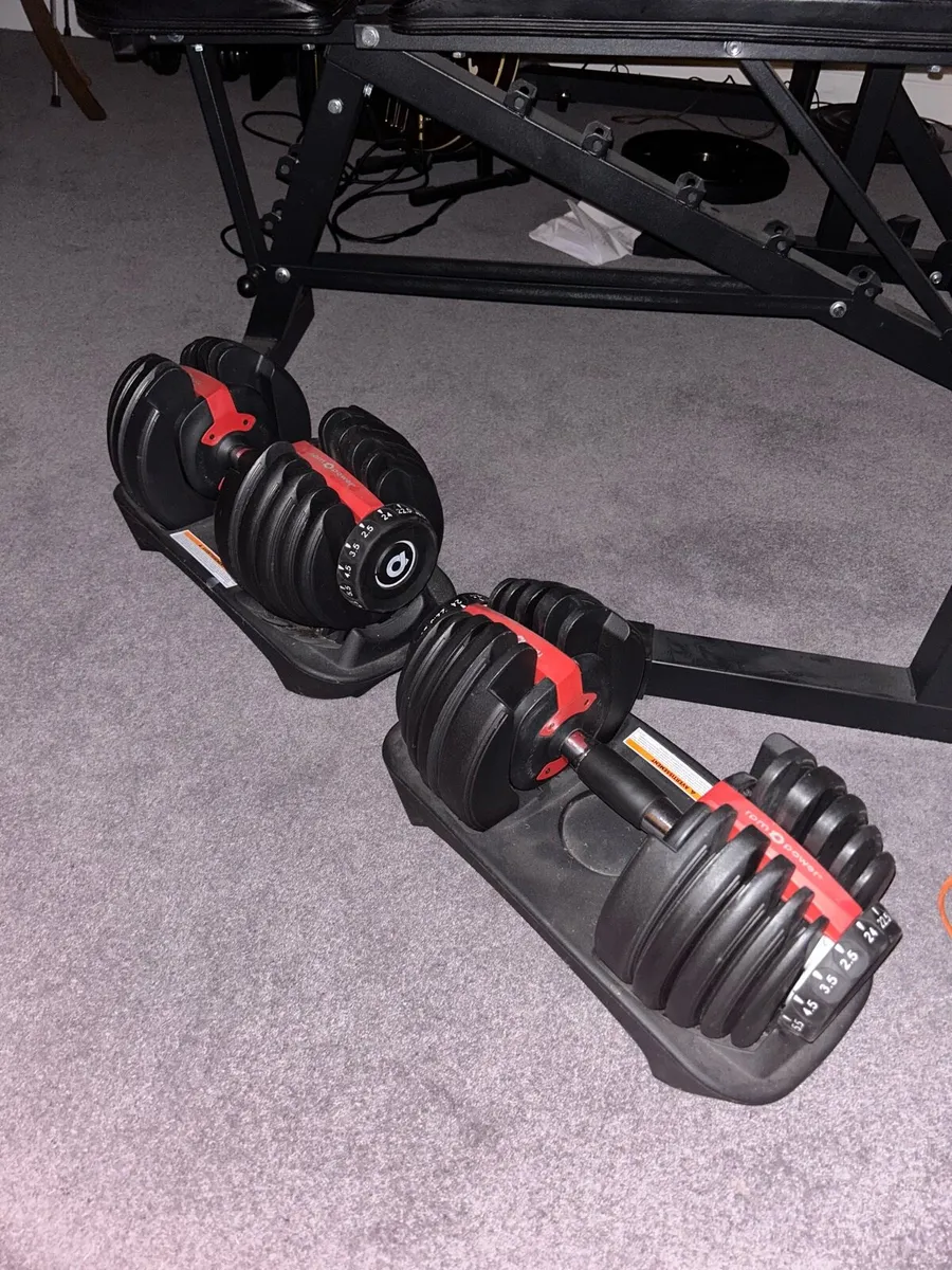 Adjustable Dumbbells 24kg - Image 1