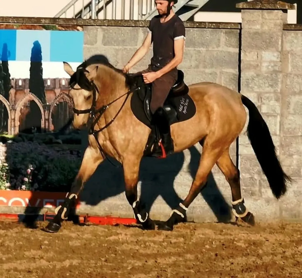 🌟 schooling sales and training prep🌟 - Image 1