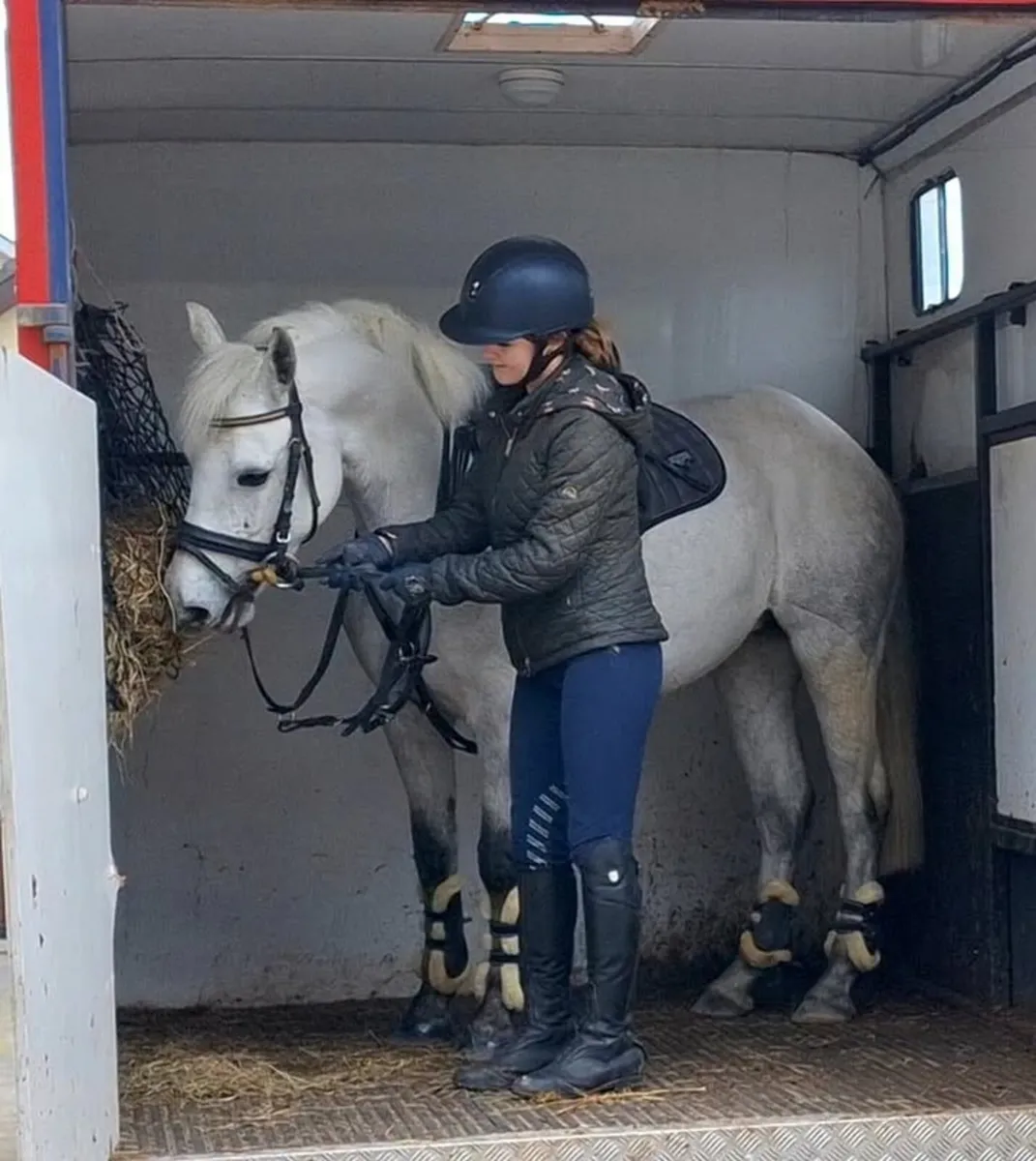 🌟 schooling sales and training prep🌟 - Image 3