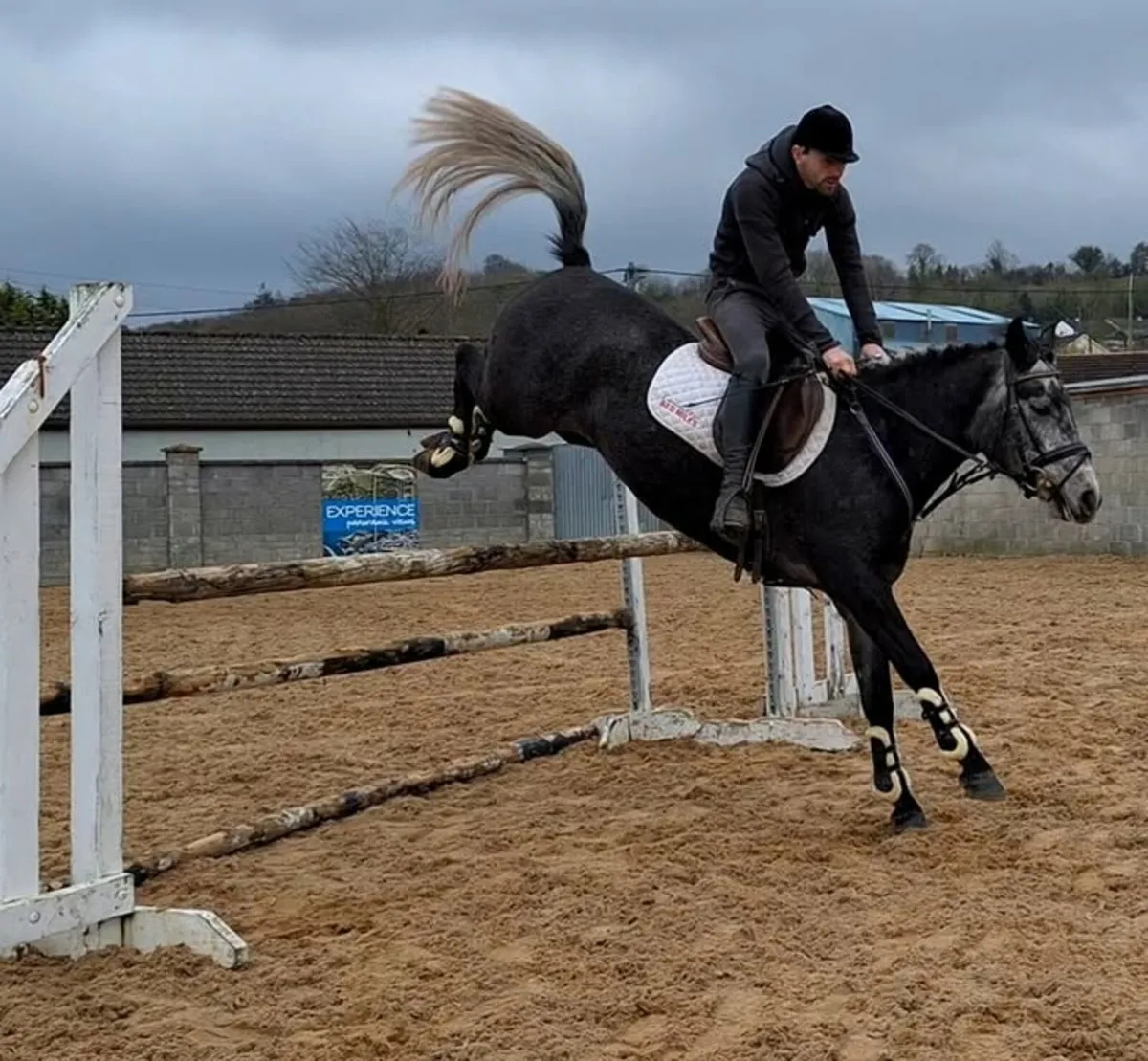 🌟 schooling sales and training prep🌟 - Image 4