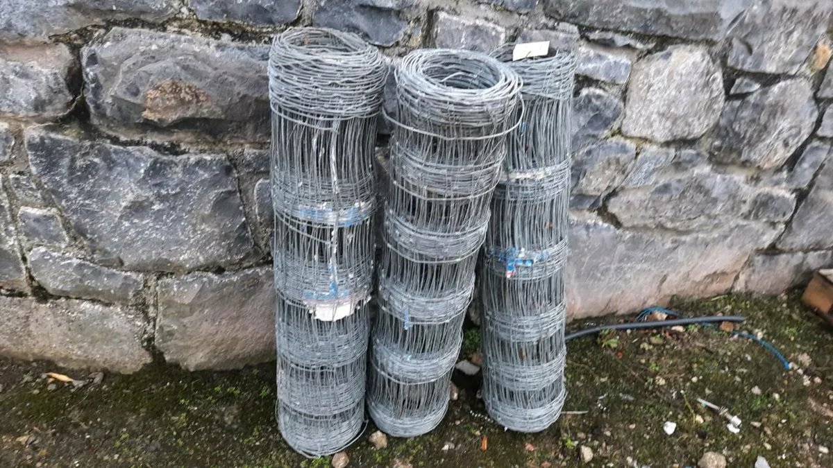 Sheep wire - Image 4