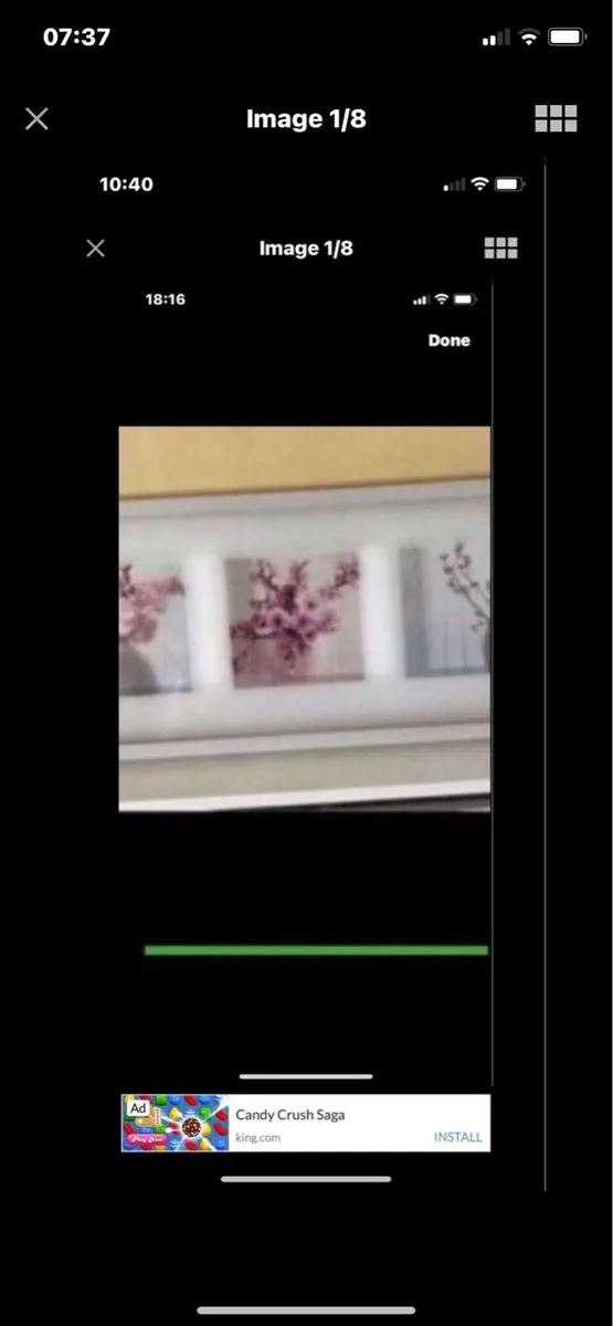 Framed Floral Prints - Image 1