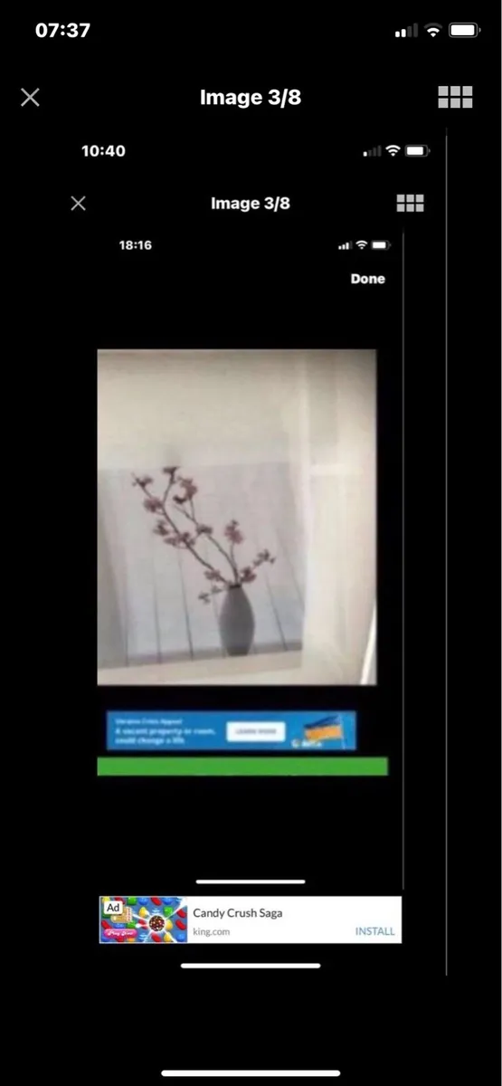 Framed Floral Prints - Image 3