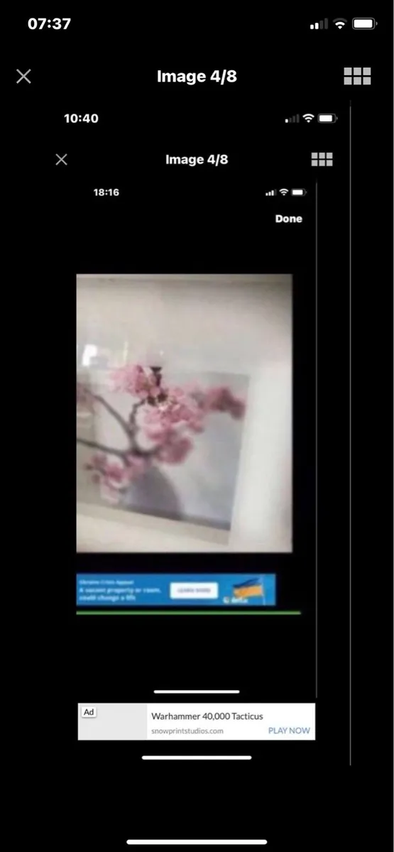 Framed Floral Prints - Image 4