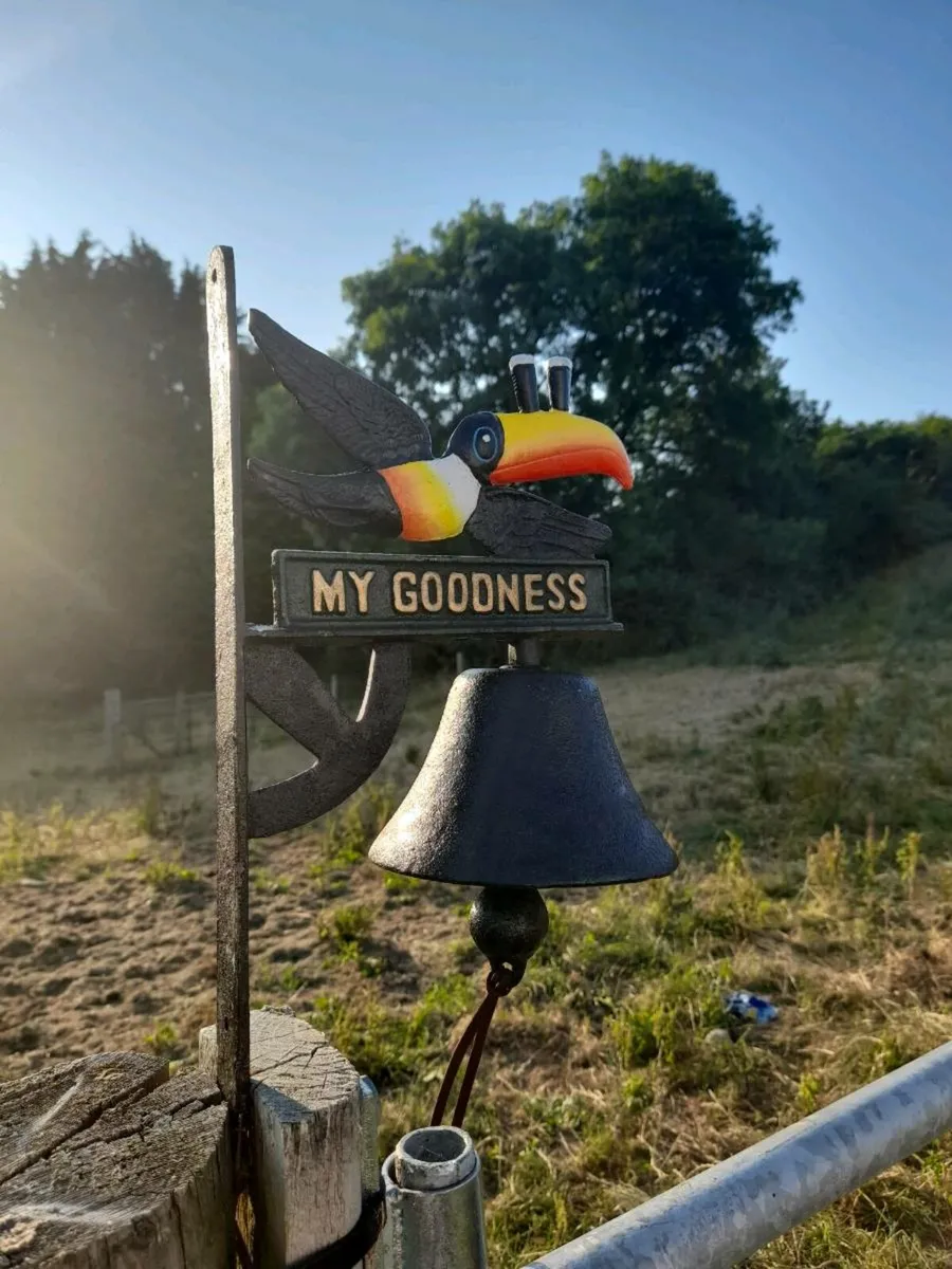 Guinness Toucan Bell - Image 1