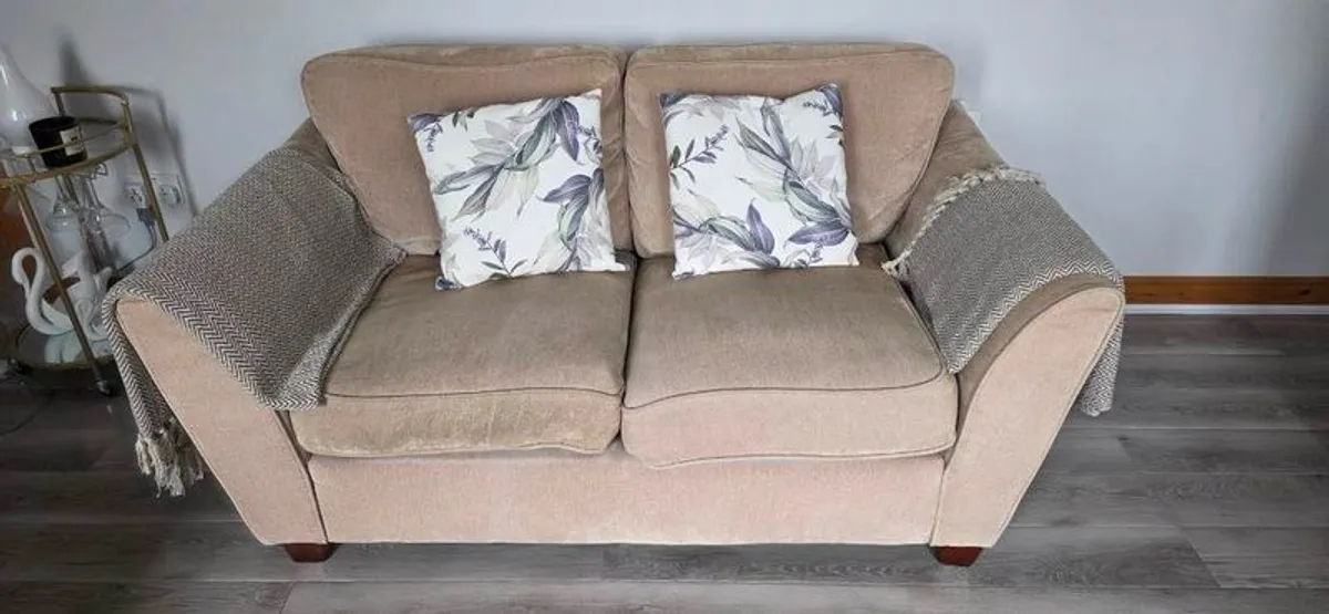 Two Matching 2-Seater Sofas for Sale - Image 4