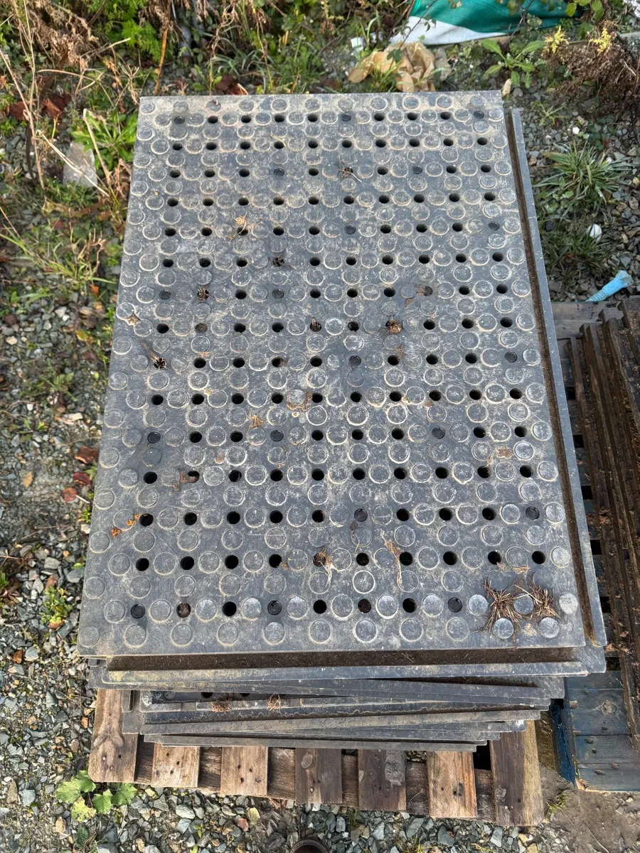 Trackway - Image 4