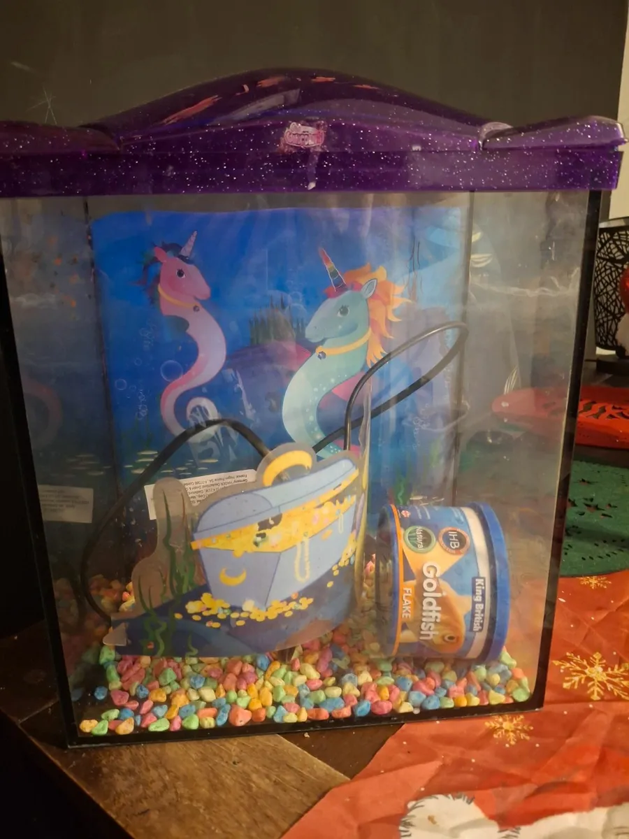 Fish tank - Image 1