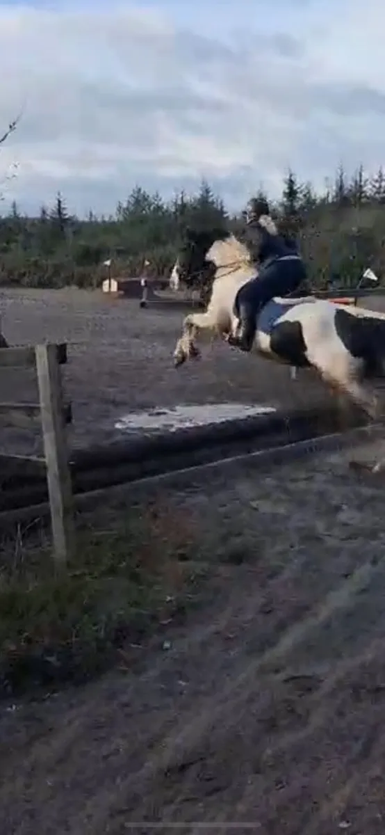 Perfect allrounder - Image 4