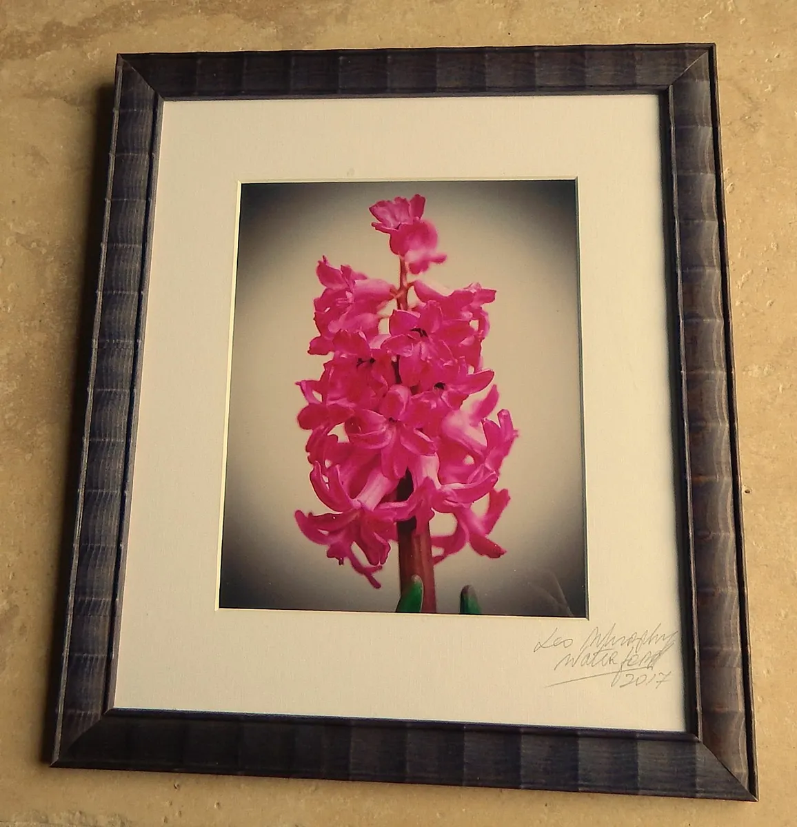 Signed Photographic Image of a Hyacinth - Image 1