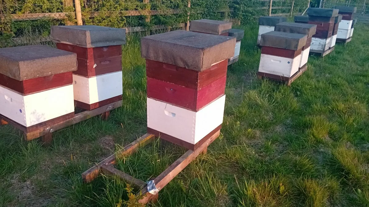 Beehives and equipment